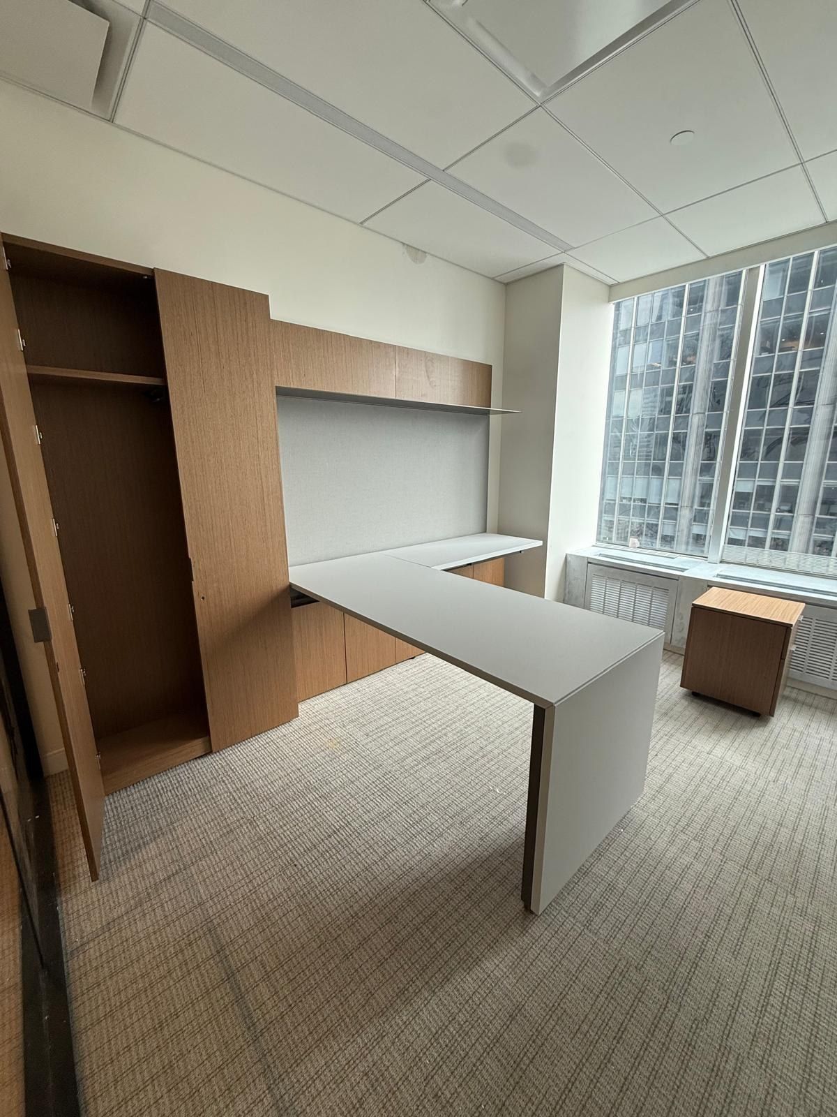 Private office with built-in storage