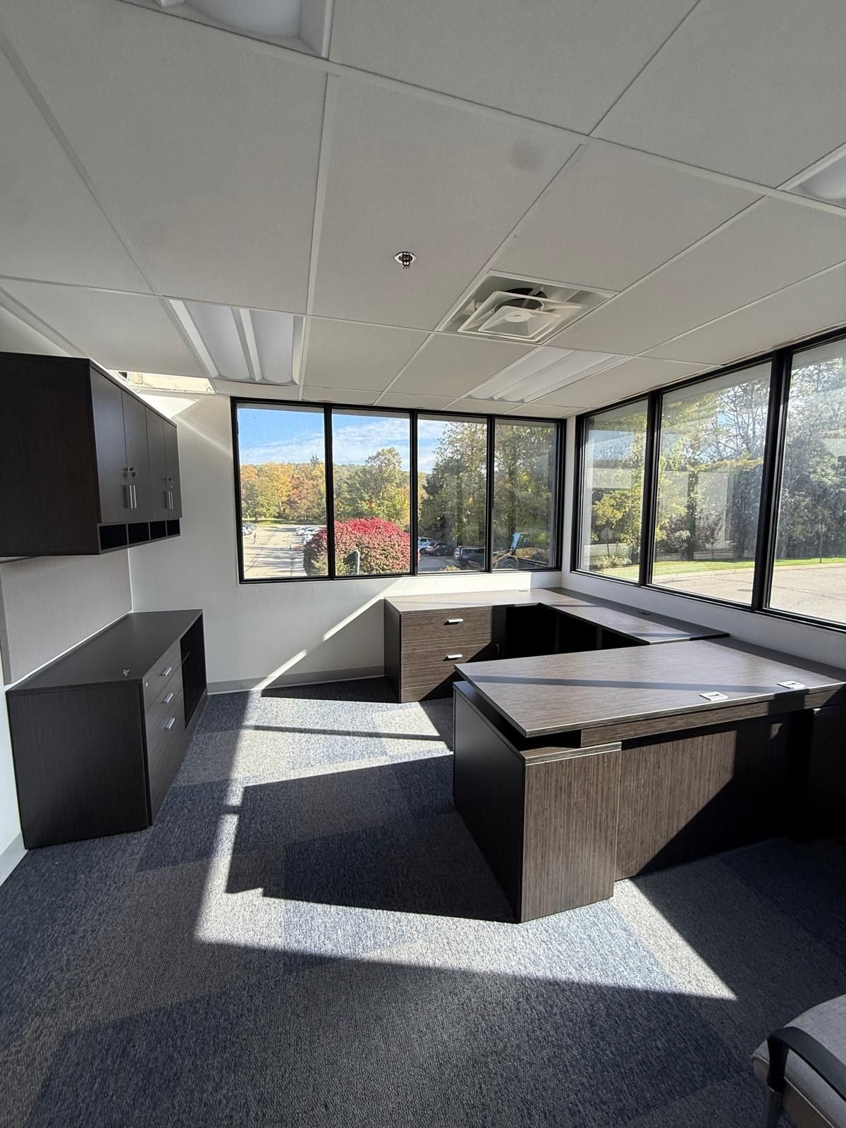 Private office furniture setup